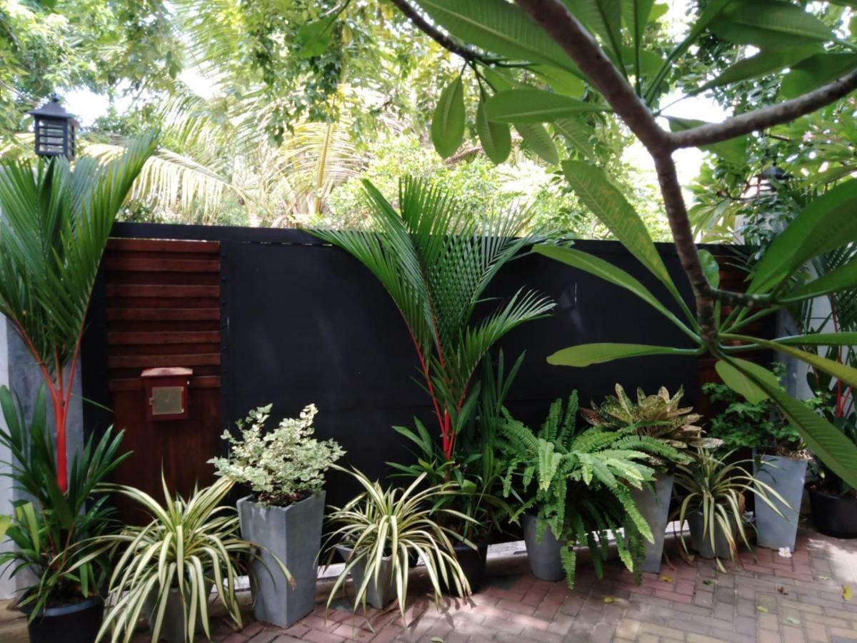 Lija Residence Negombo Eksteriør billede